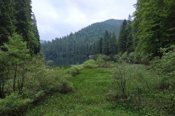 
Украинцы массово жалуются на нехватку питьевой воды, – соцопрос
