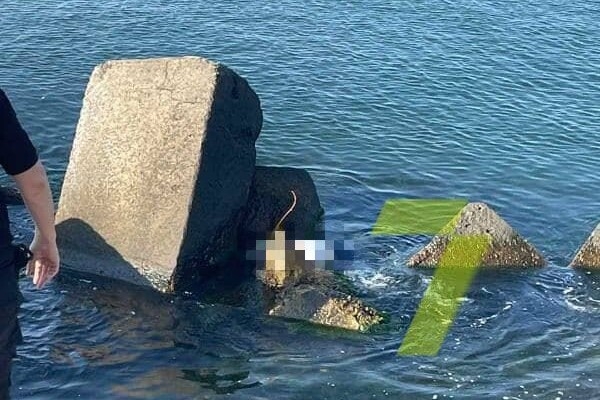 Случайно заметили у камней: на одесском пляже нашли тело утопленника