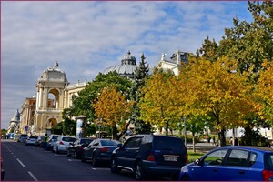 Золотой октябрь в Одессе: смотри, как это красиво (фото)