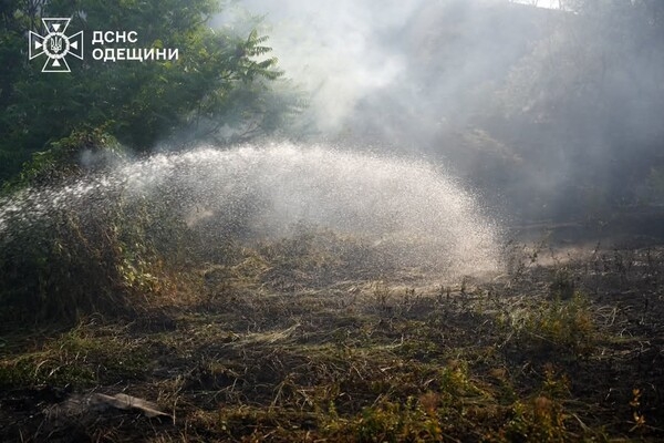 В Одессе чувствовался запах гари: в ГСЧС назвали причину